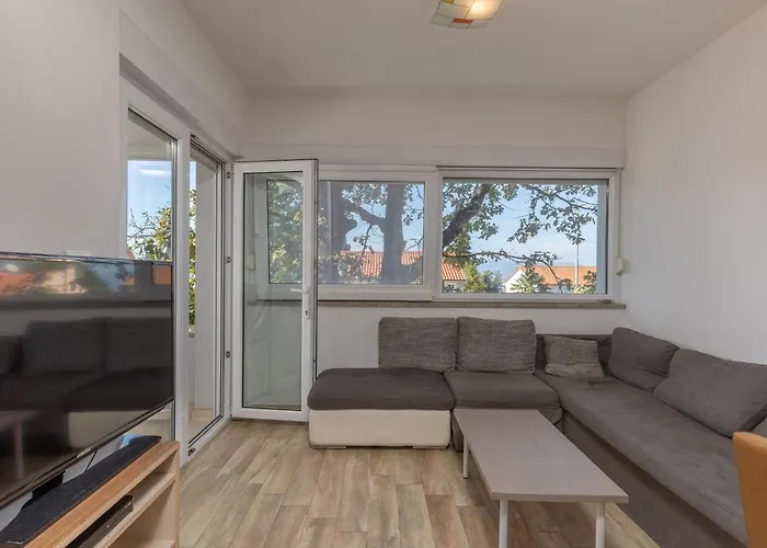 Appartement Cozy In With Kitchen Njivice